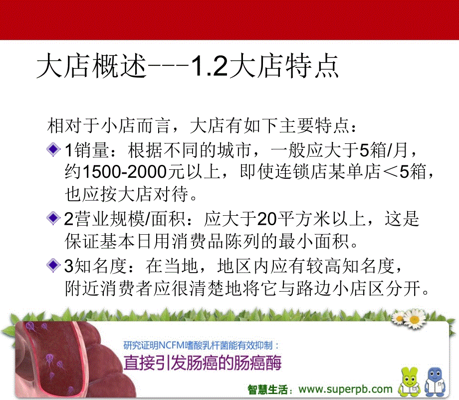 世界500强的渠道管理_第4页