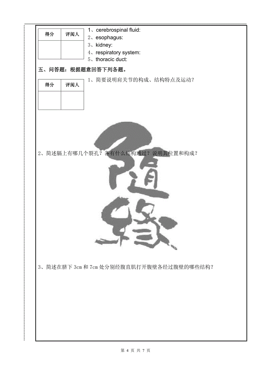 人体解剖学模拟试卷(A).doc_第4页