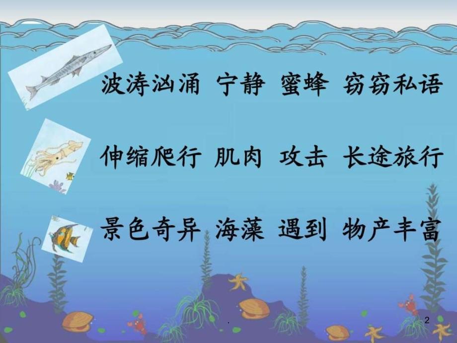 《海底世界配套》课件_第2页