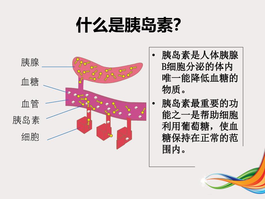 胰岛素规范化注射ppt课件文档资料_第3页