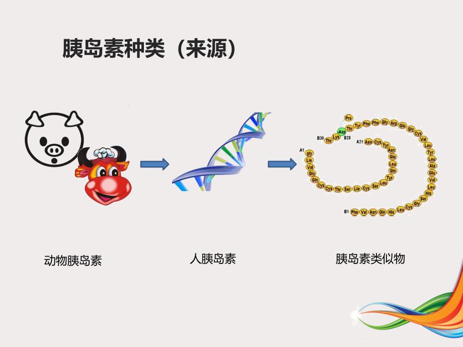 胰岛素规范化注射ppt课件文档资料_第4页