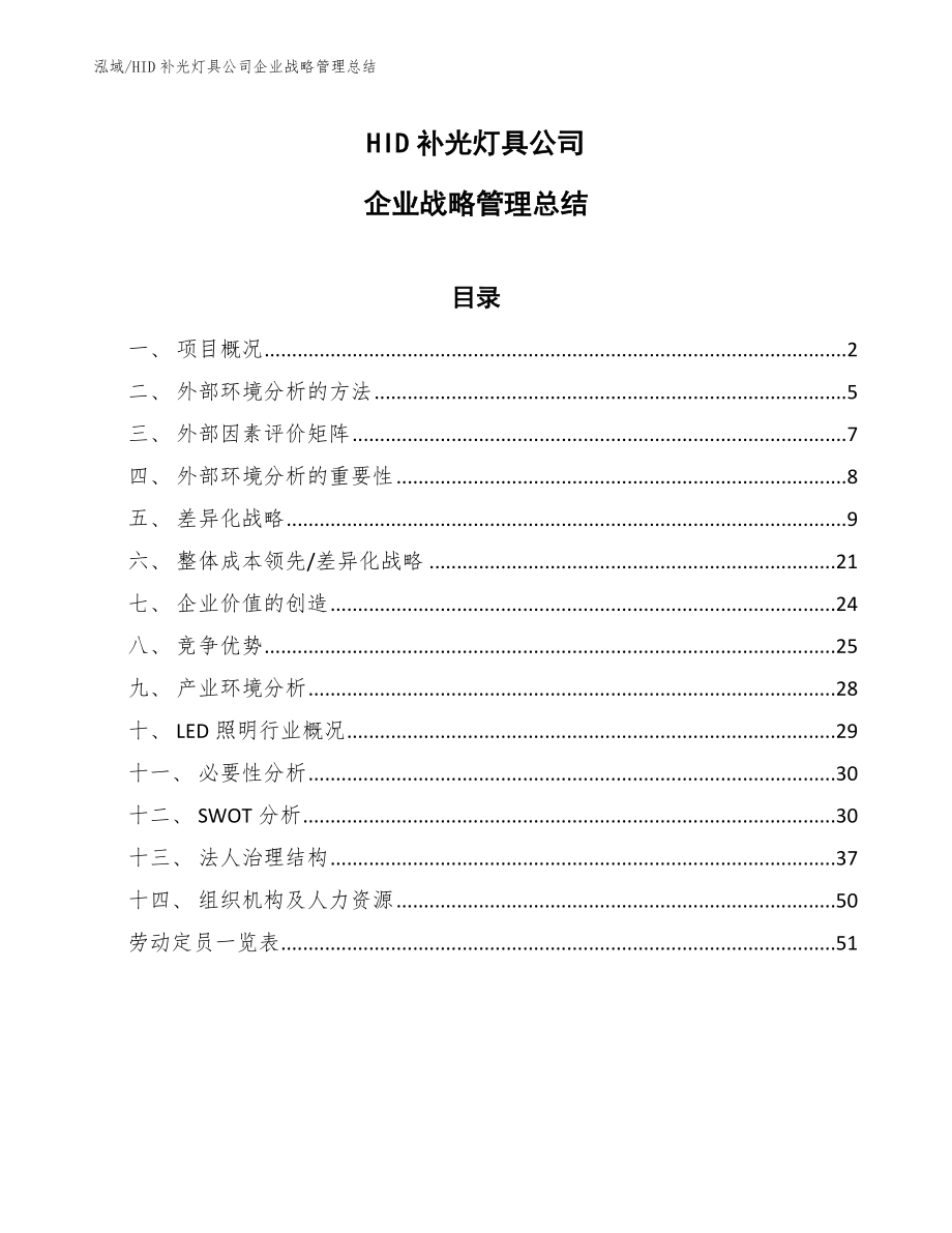 HID补光灯具公司企业战略管理总结_第1页