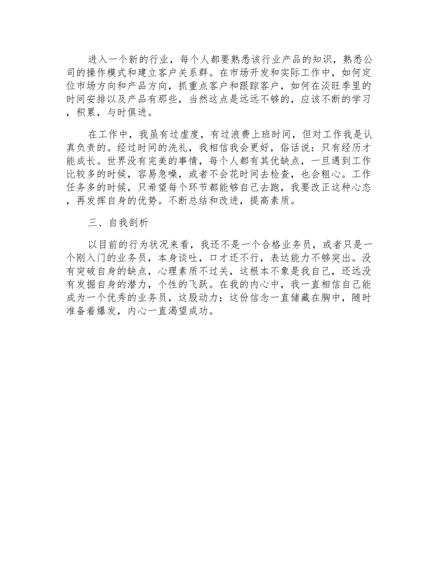 销售业务员个人年终工作总结15篇_第4页