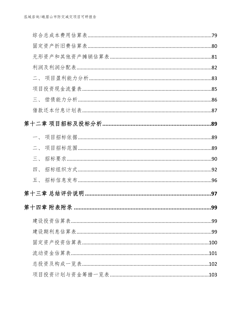 峨眉山市防灾减灾项目可研报告_范文参考_第5页