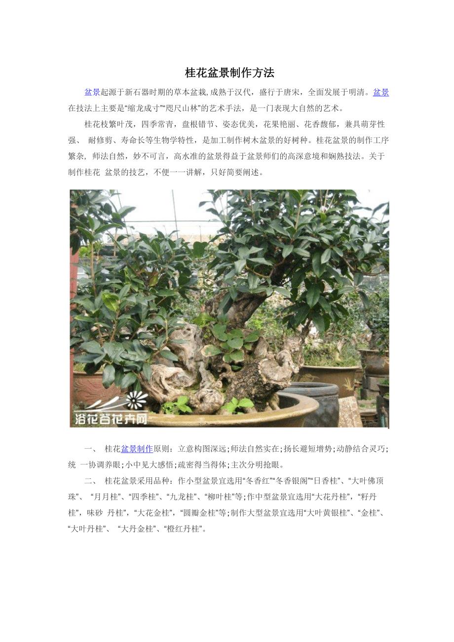 桂花盆景制作方法 详细技法_第1页