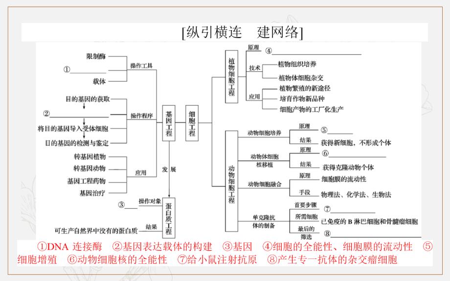 版高考生物大二轮专题复习新方略课件：7.1基因工程和细胞工程_第2页