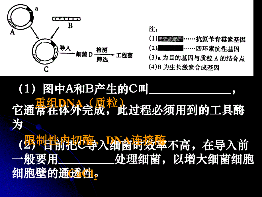 高三生物(基因工程的成果与发展前景)_第4页