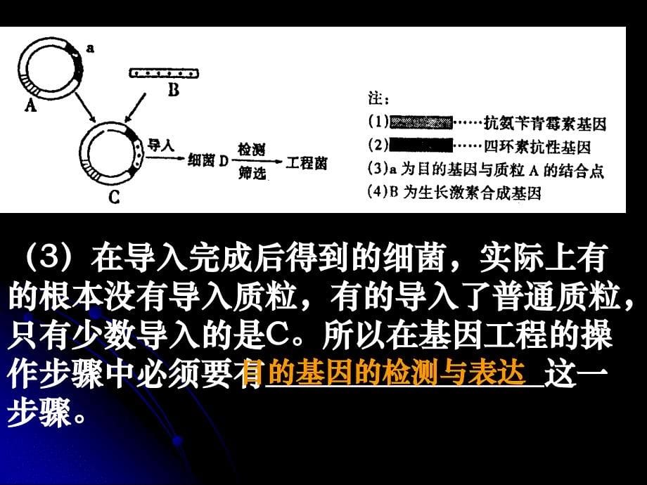 高三生物(基因工程的成果与发展前景)_第5页