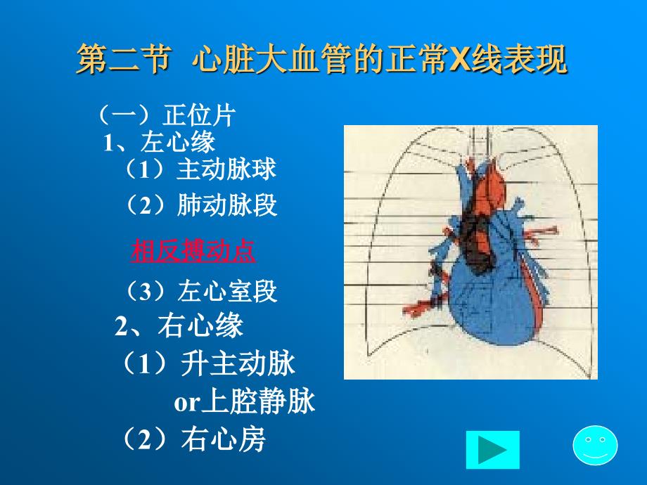 正常循环系统X线表现_第4页