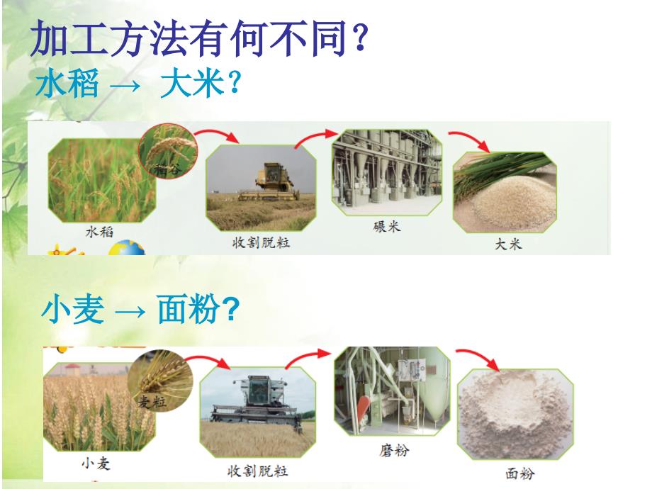 四年级上册科学课件1饮食与营养沪教版9张_第4页