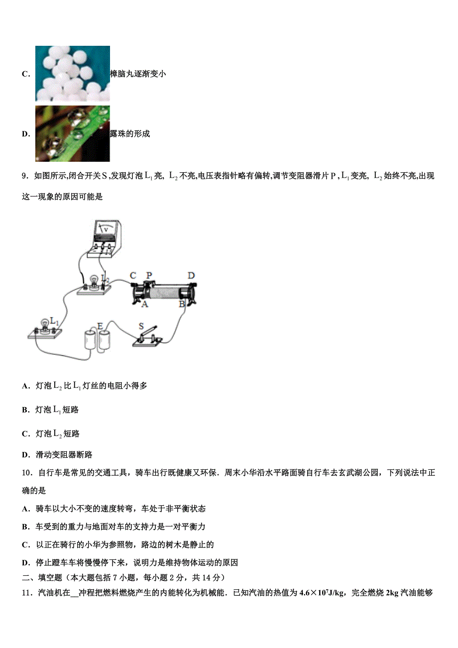 2023年山东省潍坊市寿光市、安丘市市级名校中考一模物理试题（含解析).doc_第3页