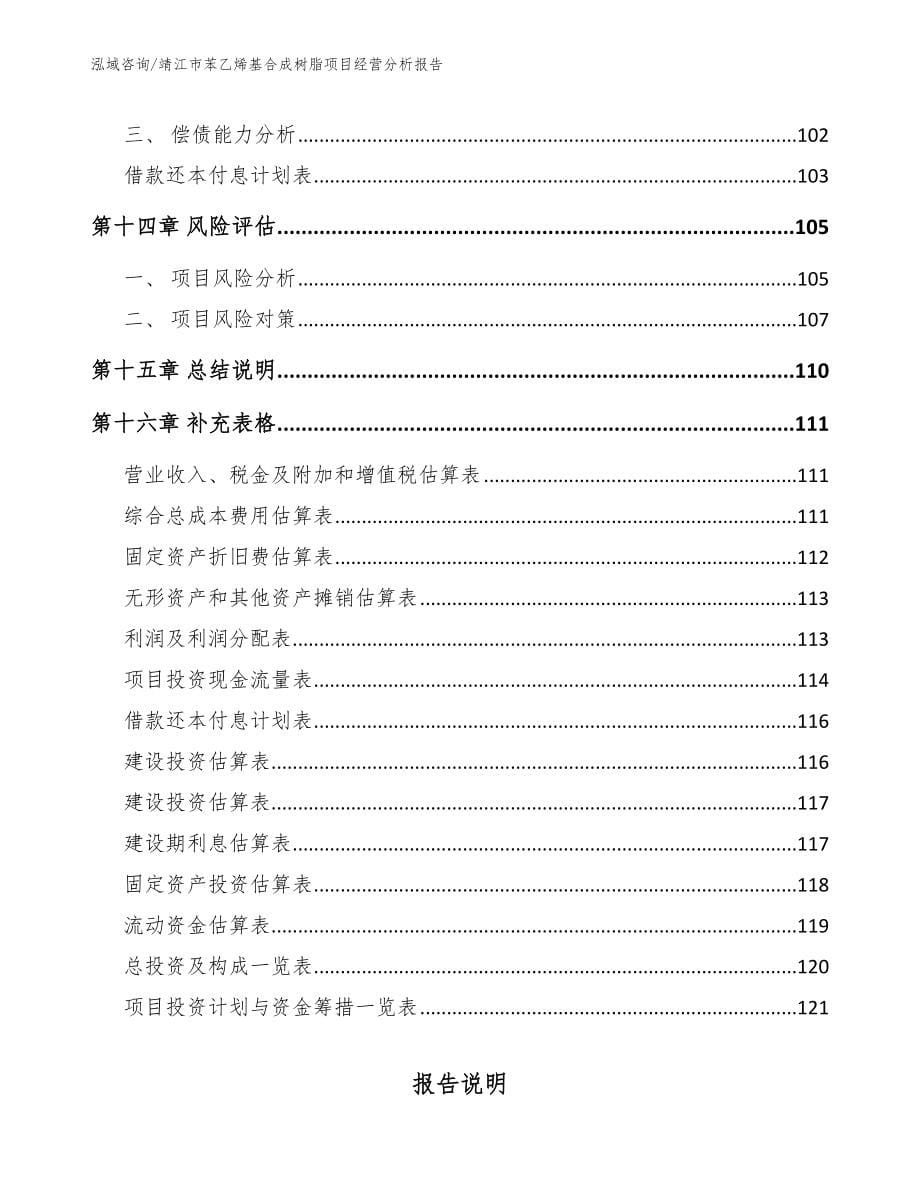 靖江市苯乙烯基合成树脂项目经营分析报告_第5页