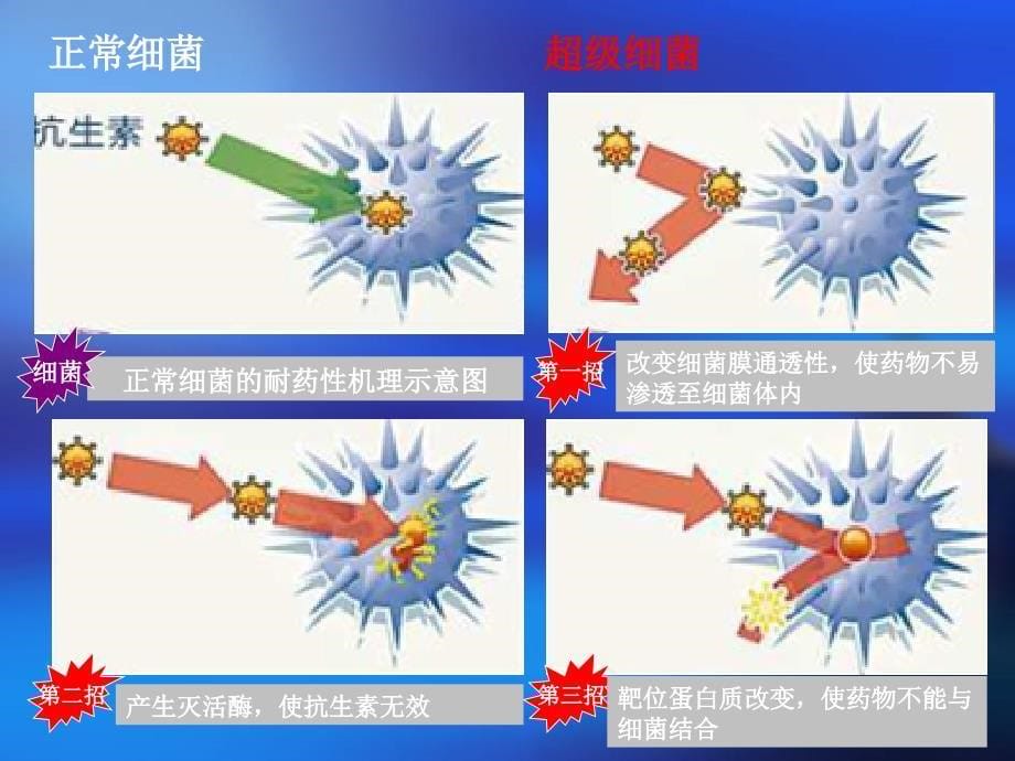 金山区健康教育所_第5页