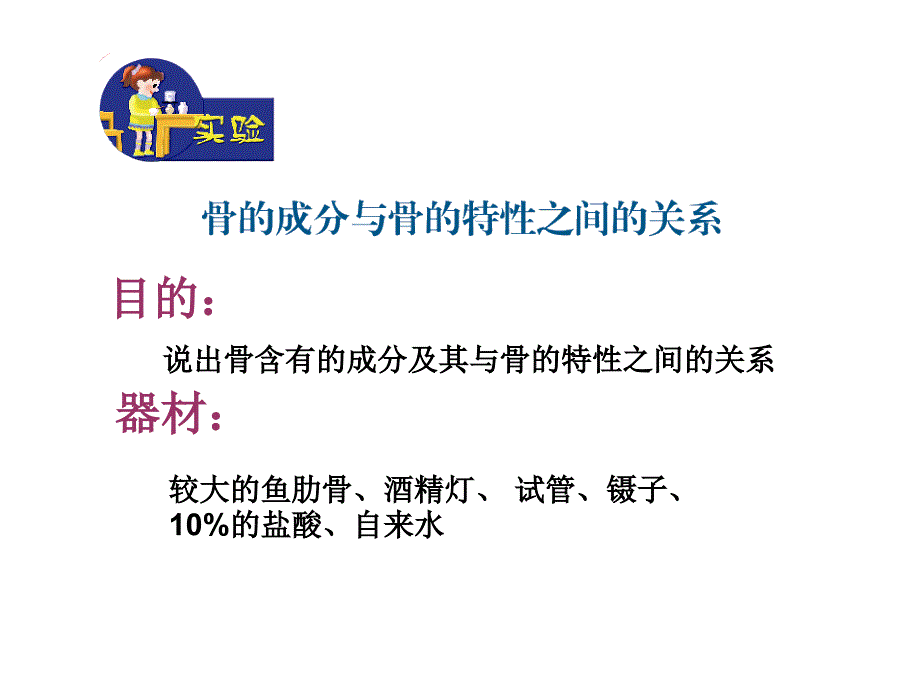 生物七下总复习一消化呼吸课件_第3页