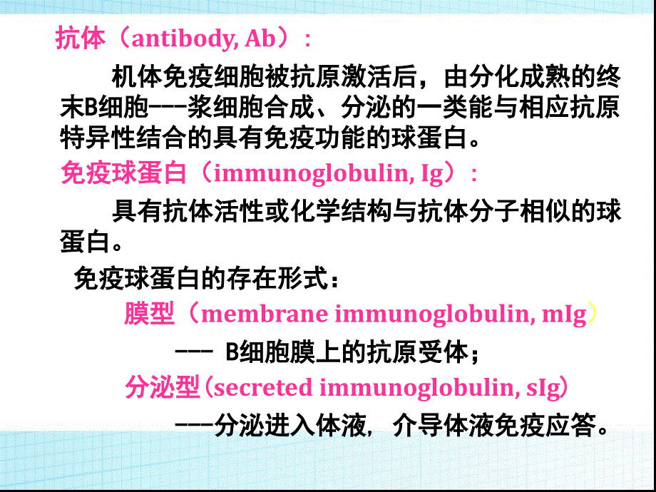 生物免疫学之抗体的详解课件_第2页