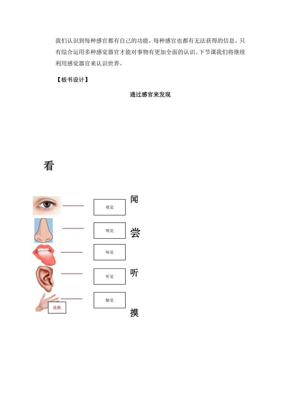 2.通过感官来发现9.docx_第5页