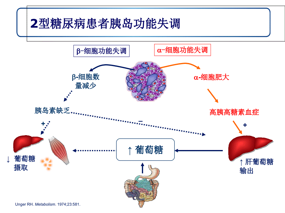 浅析GLP1受体激动剂与DPP4抑制剂_第3页