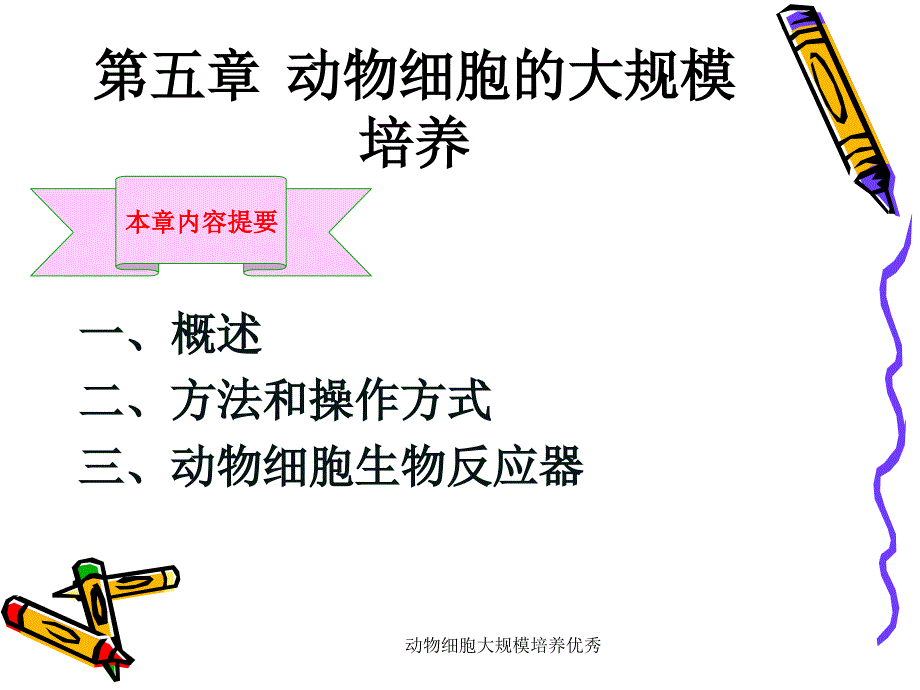 动物细胞大规模培养优秀课件_第1页