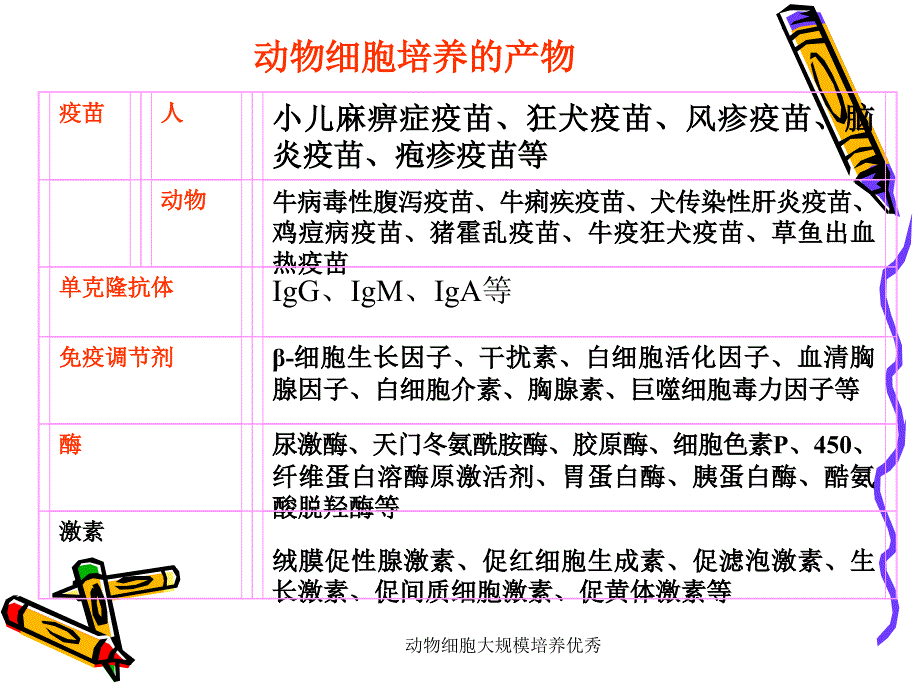 动物细胞大规模培养优秀课件_第4页