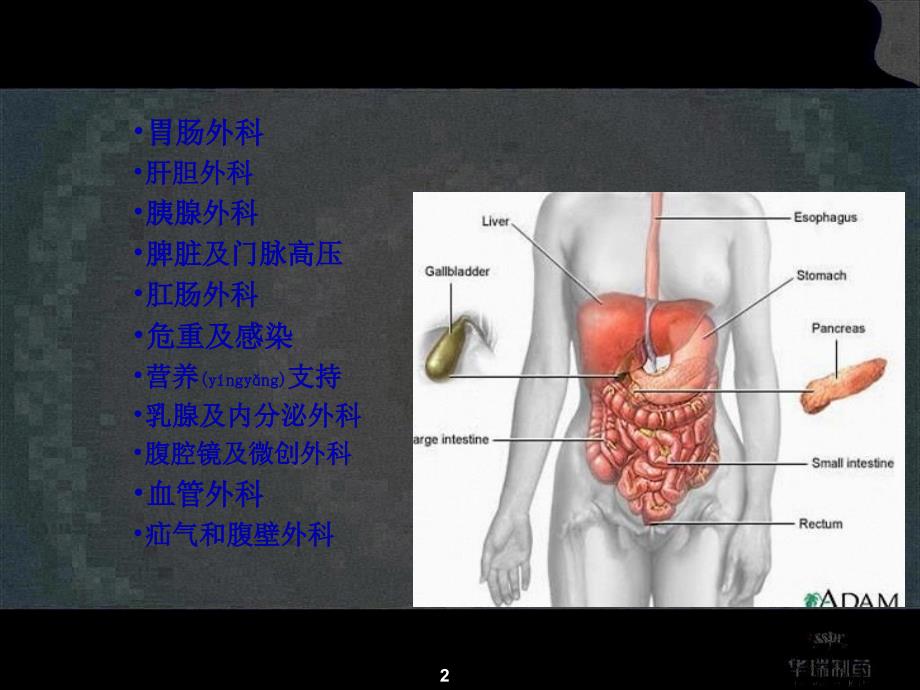 外科患者的营养支持课件_第2页