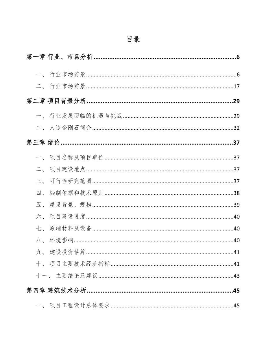 广州金刚石项目可行性研究报告_第1页