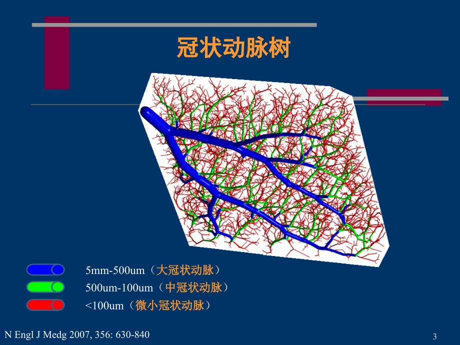 冠状动脉微血管病变及对策_第3页