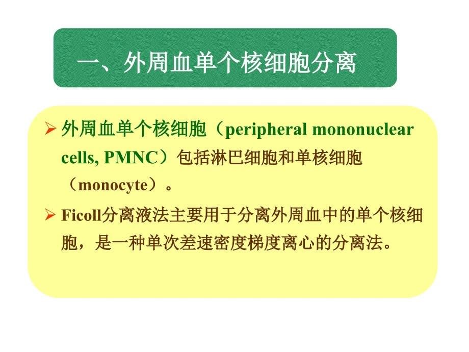 教学课件第十四章免疫细胞的分离及其表面标志检测技术_第5页