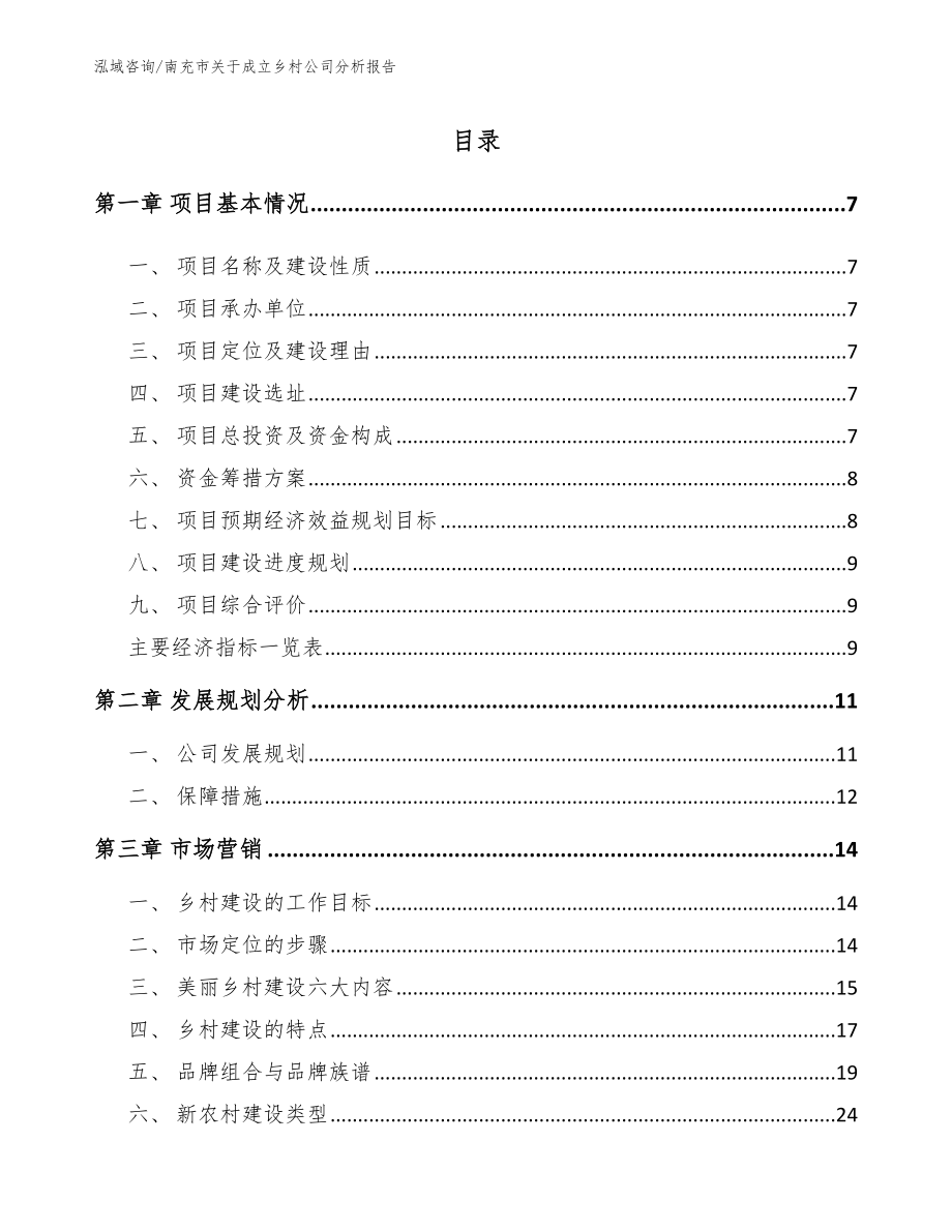 南充市关于成立乡村公司分析报告（范文）_第2页