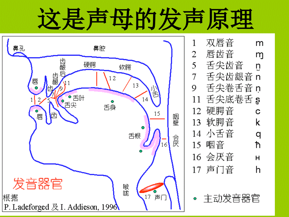 第二节 歌唱语言的咬字训练_第4页