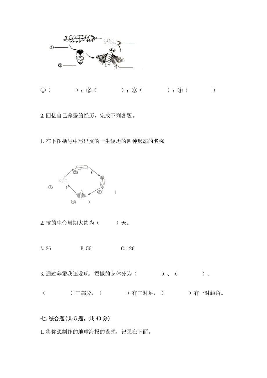 教科版三年级下册科学期末测试卷(全优)word版.docx_第5页