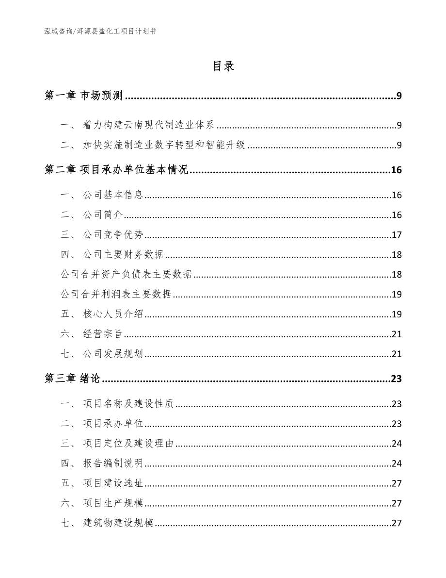 洱源县盐化工项目计划书（模板参考）_第2页