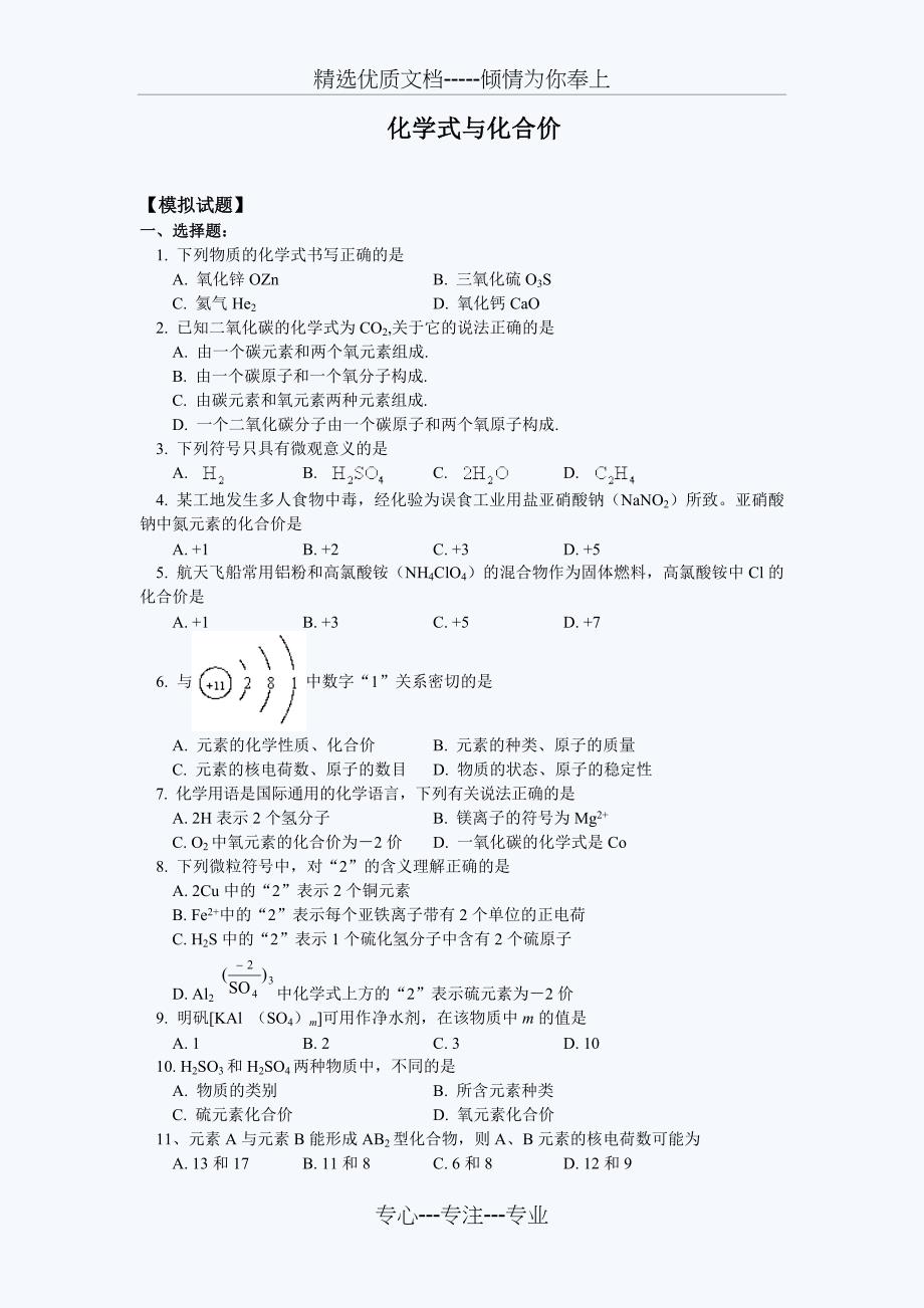 初三化学化学式与化合价练习题_第1页