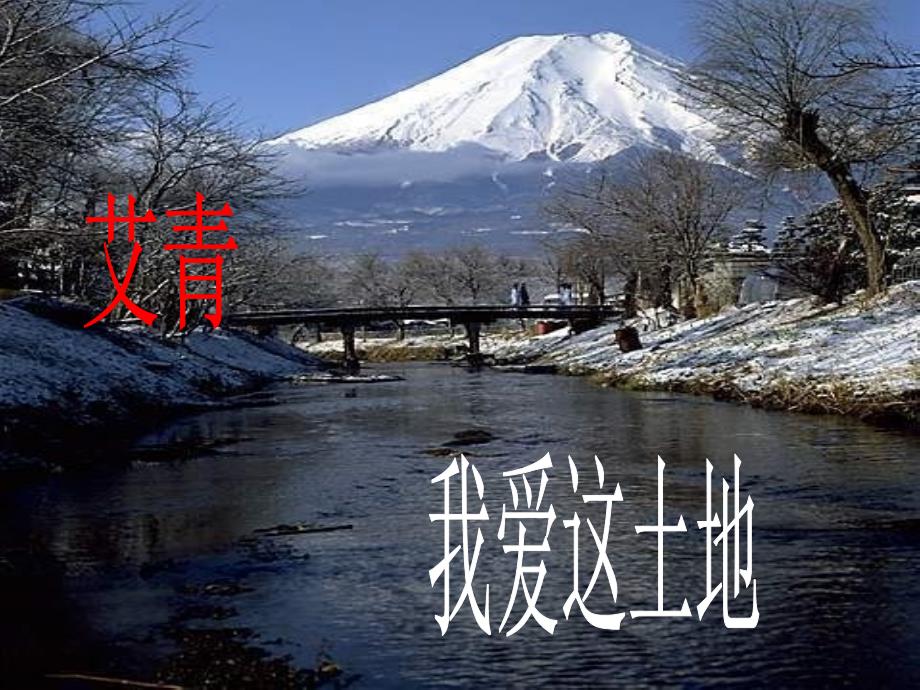 九年级语文我爱这土地_第1页