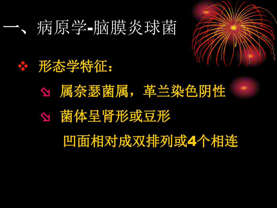 0214流行性脑脊髓膜炎PPT课件_第3页