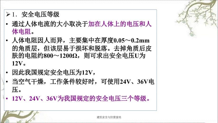 建筑安全与防雷接地PPT课件_第5页