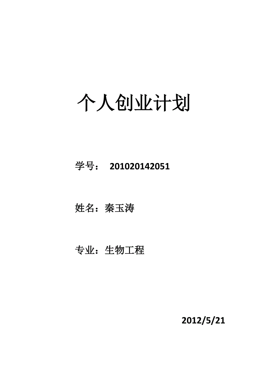 个人创业计划.docx_第1页