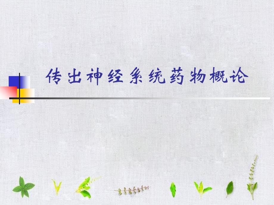 《传出神经系统》课件_第1页