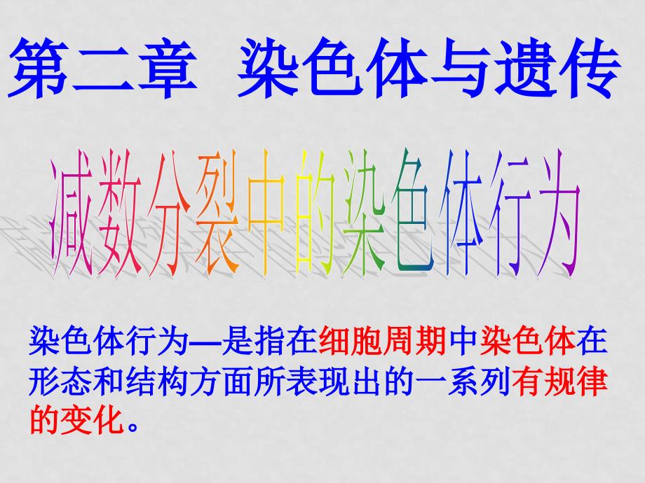 高中生物第二章 第一节 减数分裂中的染色体行为课件浙教版必修2_第3页