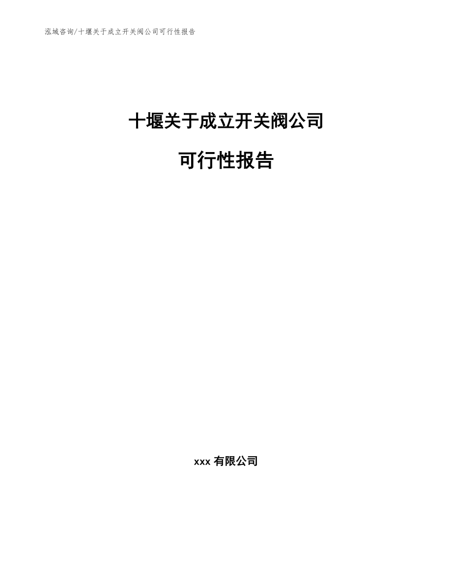 十堰关于成立开关阀公司可行性报告【模板参考】_第1页