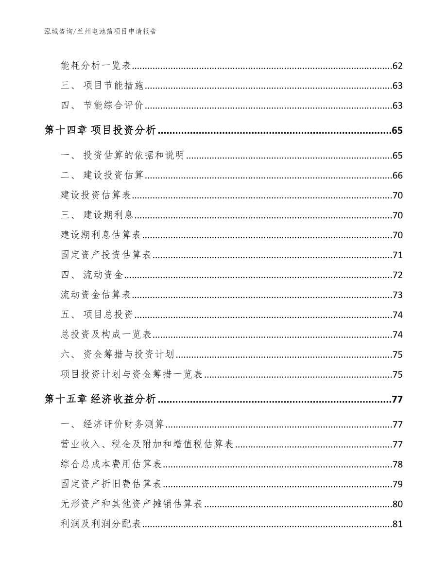 兰州电池箔项目申请报告【模板】_第5页