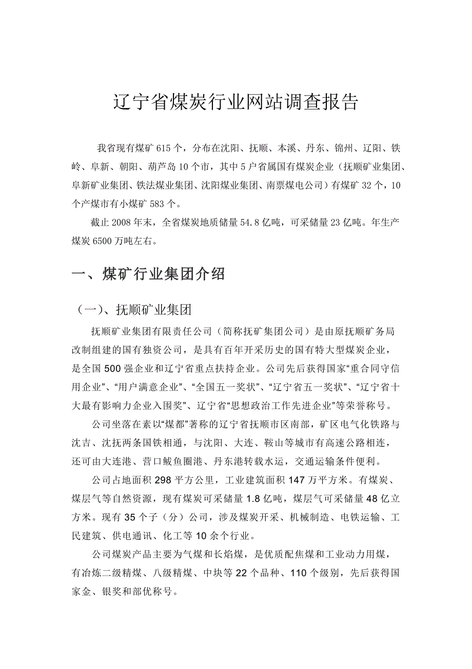 网站调查报告(煤炭)_第1页