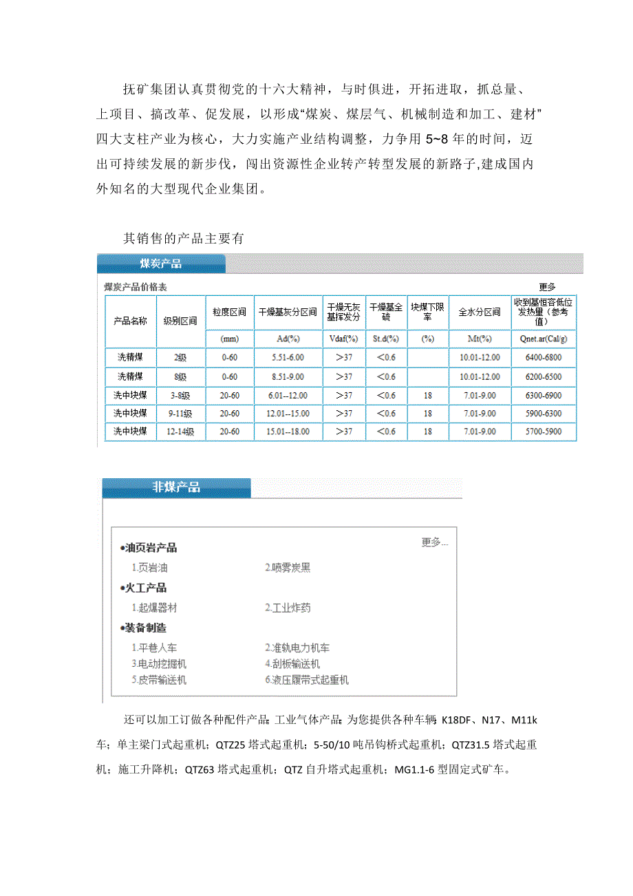 网站调查报告(煤炭)_第2页