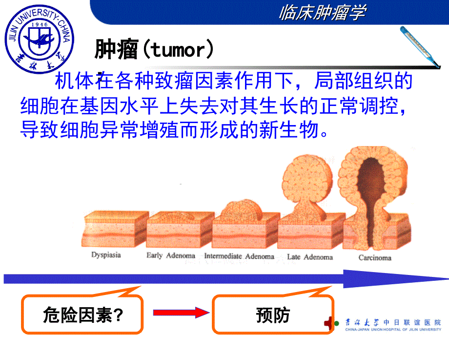 肿瘤发生的危险因素和三级预防_第2页