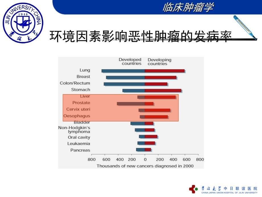 肿瘤发生的危险因素和三级预防_第5页