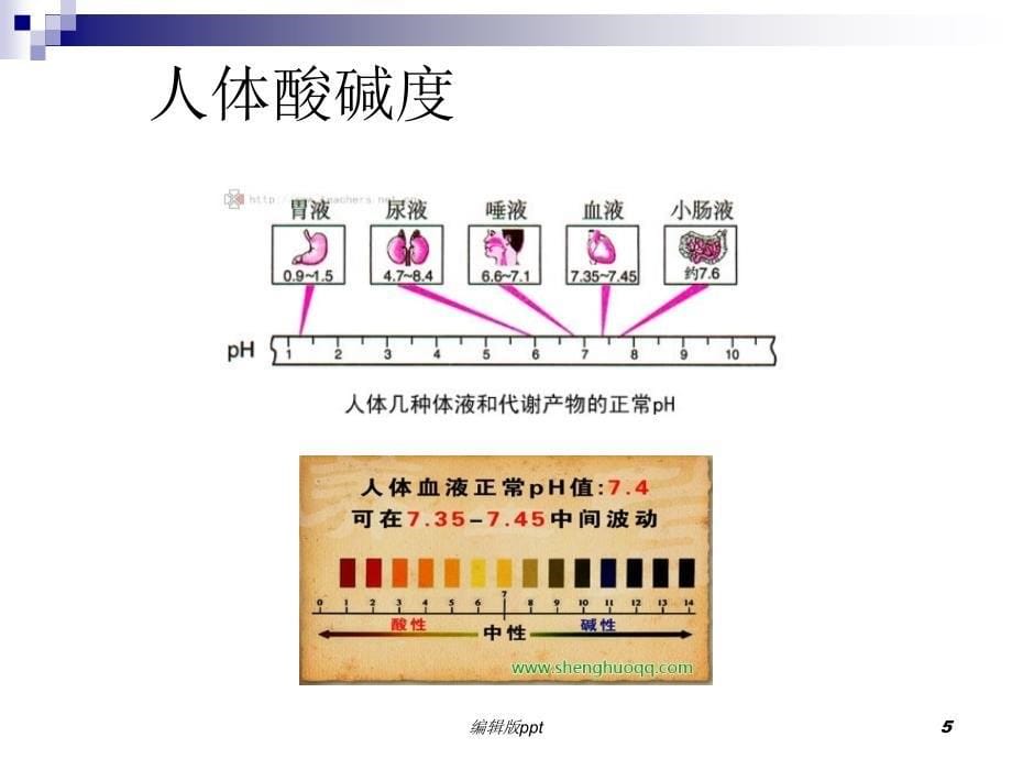 酸中毒诊断与治疗课件_第5页