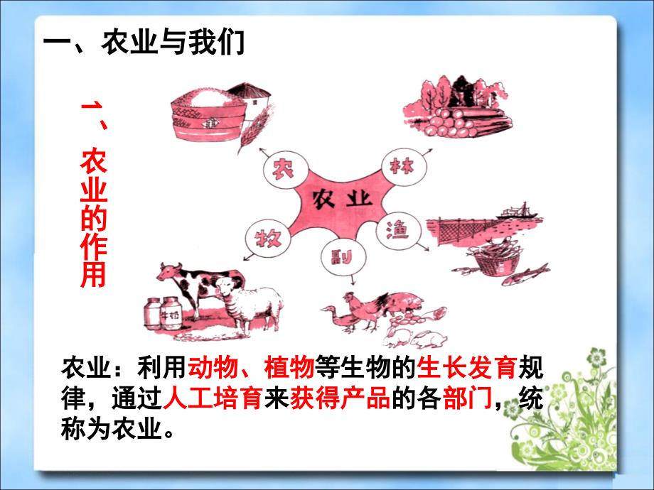 《因地制宜发展农业》第一课时参考课件说课材料_第2页