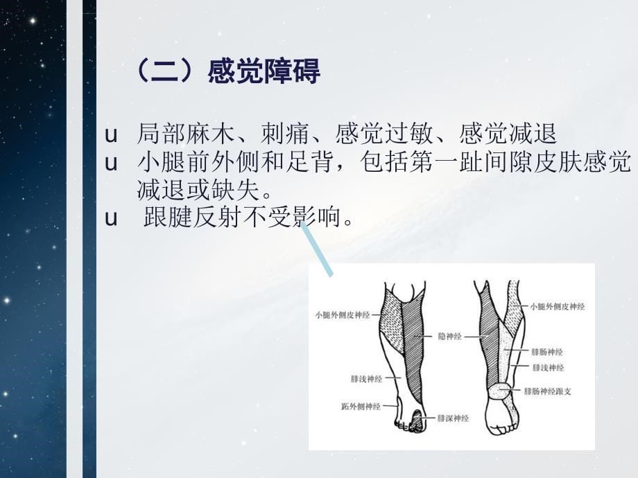 腓总神经损伤的康复课件_第5页