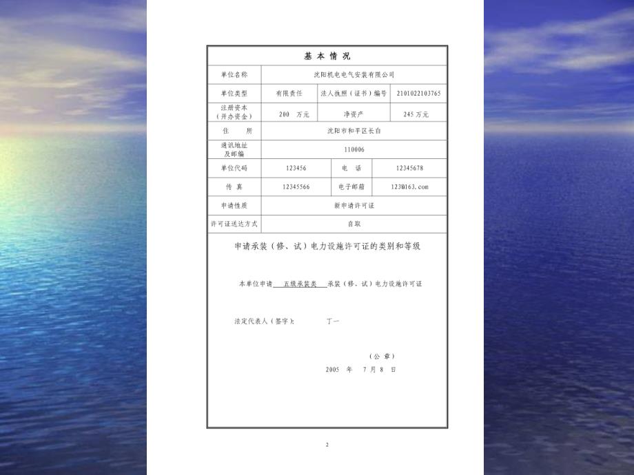 承装_修、试_电力设施许可证申请表-范本_第4页