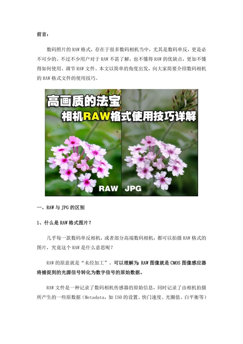 单反相机高画质的法宝 相机RAW格式使用技巧详解_第1页