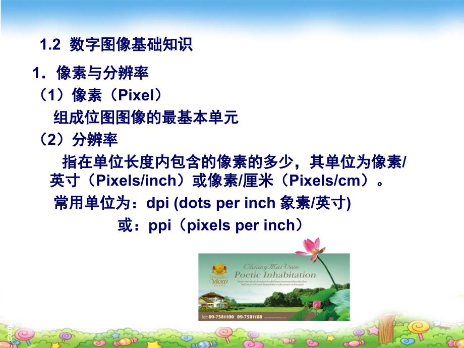 西南大学ps选修课课件.ppt_第3页